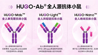 AI智胜未来！AbSeek™抗体平台：一站式解锁高效抗体新药研发