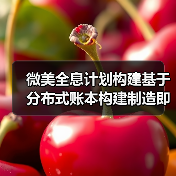 微美全息计划构建基于分布式账本构建制造即服务MaaS系统平台