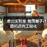 走出实验室 我国量子计算机迈向工程化