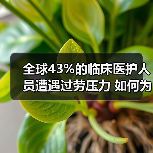 全球43%的临床医护人员遭遇过劳压力 如何为医护人员减负?AI技术革新引领未来医疗发展趋势(图3) 全球43%的临床医护人员遭遇过劳压力 如何为医护人员减负?AI技术革新引领未来医疗发展趋势(图3)
