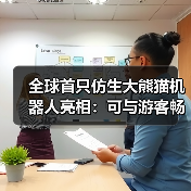 全球首只仿生大熊猫机器人亮相:可与游客畅快交流(图2) 全球首只仿生大熊猫机器人亮相:可与游客畅快交流(图2)