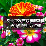 努比亚发布双旗舰新机，火山引擎助力打造“流畅+智慧”新标杆（图2）