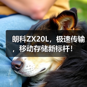 朗科ZX20L，极速传输，移动存储新标杆！