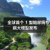 全球首个 1 型糖尿病专病大模型发布