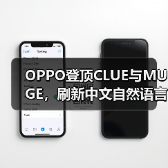 OPPO登顶CLUE与MUGE,刷新中文自然语言理解与图文多模态双榜记录(图2) OPPO登顶CLUE与MUGE,刷新中文自然语言理解与图文多模态双榜记录(图2)