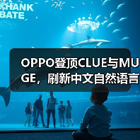 OPPO登顶CLUE与MUGE,刷新中文自然语言理解与图文多模态双榜记录(图1) OPPO登顶CLUE与MUGE,刷新中文自然语言理解与图文多模态双榜记录(图1)