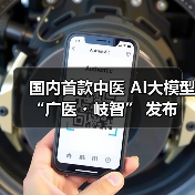 国内首款中医 AI大模型 “广医・岐智” 发布(图4) 国内首款中医 AI大模型 “广医・岐智” 发布(图4)