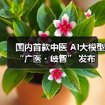 国内首款中医 AI大模型 “广医・岐智” 发布(图3) 国内首款中医 AI大模型 “广医・岐智” 发布(图3)