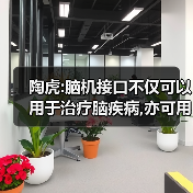 陶虎:脑机接口不仅可以用于治疗脑疾病,亦可用于脑电库的搭建