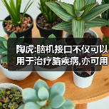 陶虎:脑机接口不仅可以用于治疗脑疾病,亦可用于脑电库的搭建(图3) 陶虎:脑机接口不仅可以用于治疗脑疾病,亦可用于脑电库的搭建(图3)