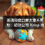 英语印度口音太重不用愁:初创公司 Krisp 推出 AI 转换,一键变为地道美式(图2) 英语印度口音太重不用愁:初创公司 Krisp 推出 AI 转换,一键变为地道美式(图2)