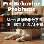 Meta 被曝助推数字盗版：30% 训练 AI 书籍遭二次传播（图2）
