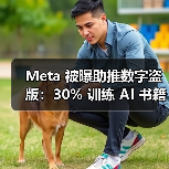 Meta 被曝助推数字盗版：30% 训练 AI 书籍遭二次传播（图4）