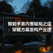 智能手表内卷破局之道：穿戴方案重构产业逻辑（图2）