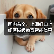国内首个：上海虹口上线区域级教育智能体平台，老师半小时就能制作智能体（图1）