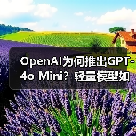 OpenAI为何推出GPT-4o Mini?轻量模型如何颠覆AI应用(图4) OpenAI为何推出GPT-4o Mini?轻量模型如何颠覆AI应用(图4)