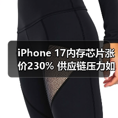 iPhone 17内存芯片涨价230% 供应链压力如何破局?(图2) iPhone 17内存芯片涨价230% 供应链压力如何破局?(图2)