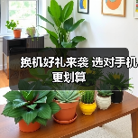 换机好礼来袭 选对手机更划算（图3）