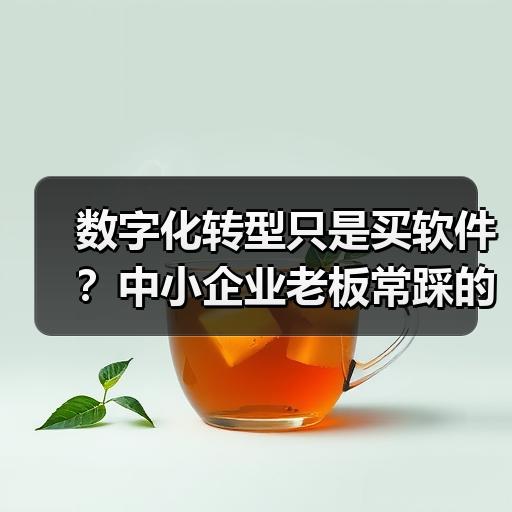 数字化转型只是买软件？中小企业老板常踩的三个误区
